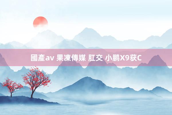 國產av 果凍傳媒 肛交 小鹏X9获C