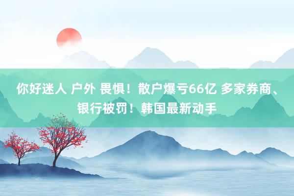 你好迷人 户外 畏惧！散户爆亏66亿 多家券商、银行被罚！韩国最新动手