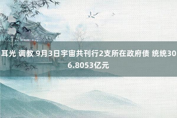 耳光 调教 9月3日宇宙共刊行2支所在政府债 统统306.8053亿元