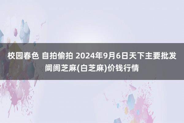 校园春色 自拍偷拍 2024年9月6日天下主要批发阛阓芝麻(白芝麻)价钱行情