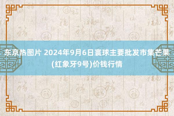 东京热图片 2024年9月6日寰球主要批发市集芒果(红象牙9号)价钱行情