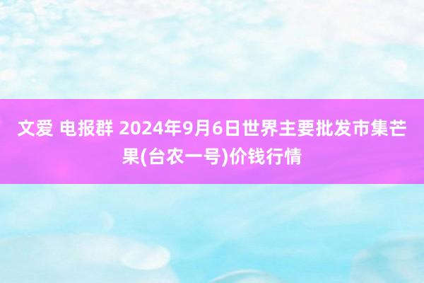 文爱 电报群 2024年9月6日世界主要批发市集芒果(台农一号)价钱行情