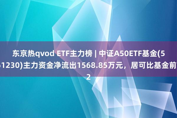 东京热qvod ETF主力榜 | 中证A50ETF基金(561230)主力资金净流出1568.85万元，居可比基金前2