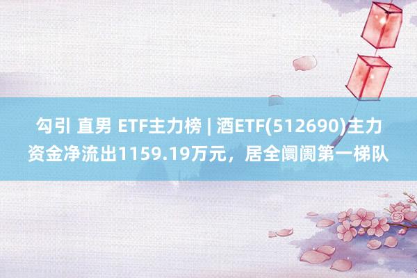 勾引 直男 ETF主力榜 | 酒ETF(512690)主力资金净流出1159.19万元，居全阛阓第一梯队