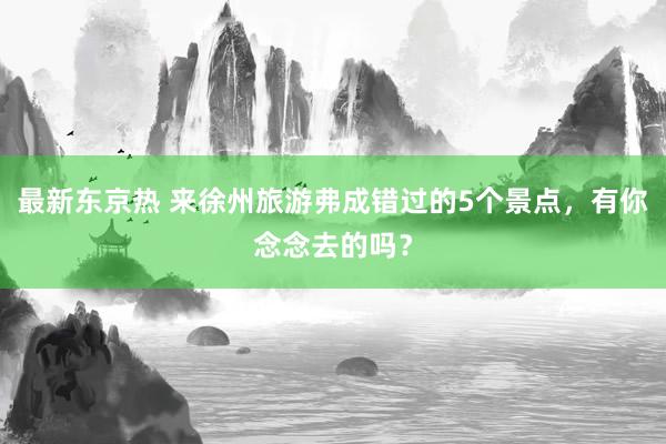 最新东京热 来徐州旅游弗成错过的5个景点，有你念念去的吗？