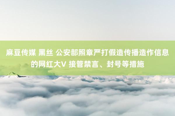 麻豆传媒 黑丝 公安部照章严打假造传播造作信息的网红大V 接管禁言、封号等措施