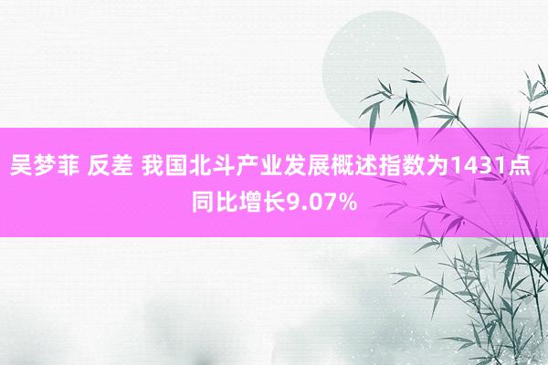 吴梦菲 反差 我国北斗产业发展概述指数为1431点 同比增长9.07%