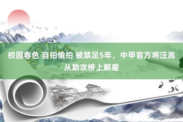 校园春色 自拍偷拍 被禁足5年，中甲官方将汪嵩从助攻榜上解雇