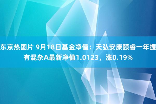 东京热图片 9月18日基金净值：天弘安康颐睿一年握有混杂A最新净值1.0123，涨0.19%