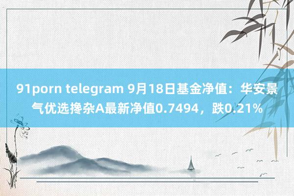 91porn telegram 9月18日基金净值：华安景气优选搀杂A最新净值0.7494，跌0.21%