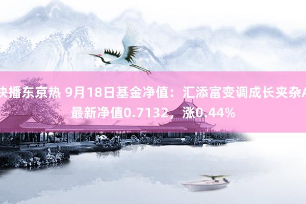 快播东京热 9月18日基金净值：汇添富变调成长夹杂A最新净值0.7132，涨0.44%