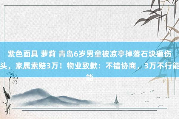 紫色面具 萝莉 青岛6岁男童被凉亭掉落石块砸伤头，家属索赔3万！物业致歉：不错协商，3万不行能