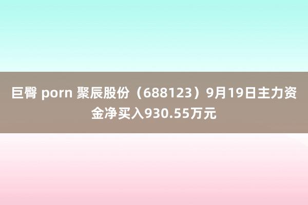 巨臀 porn 聚辰股份（688123）9月19日主力资金净买入930.55万元