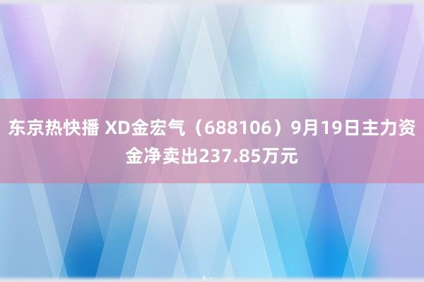 东京热快播 XD金宏气（688106）9月19日主力资金净卖出237.85万元