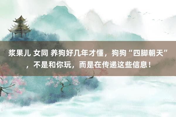 浆果儿 女同 养狗好几年才懂，狗狗“四脚朝天”，不是和你玩，而是在传递这些信息！