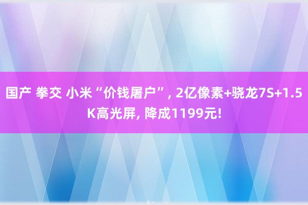 国产 拳交 小米“价钱屠户”， 2亿像素+骁龙7S+1.5K高光屏， 降成1199元!