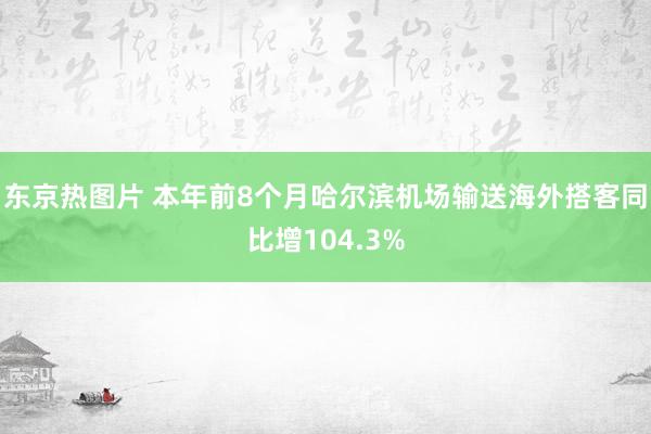 东京热图片 本年前8个月哈尔滨机场输送海外搭客同比增104.3%