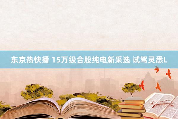 东京热快播 15万级合股纯电新采选 试驾灵悉L