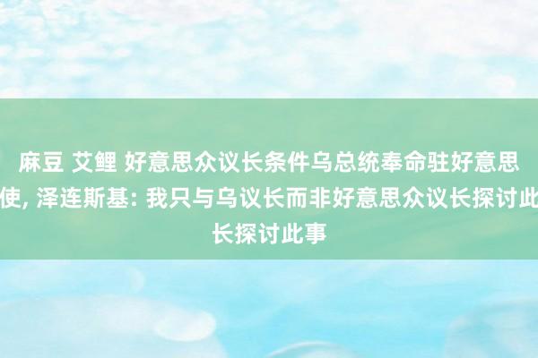 麻豆 艾鲤 好意思众议长条件乌总统奉命驻好意思大使， 泽连斯基: 我只与乌议长而非好意思众议长探讨此事