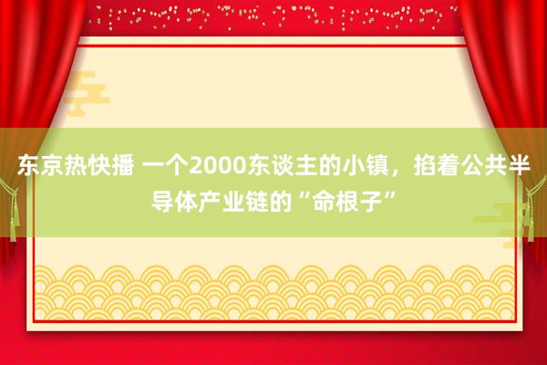 东京热快播 一个2000东谈主的小镇，掐着公共半导体产业链的“命根子”