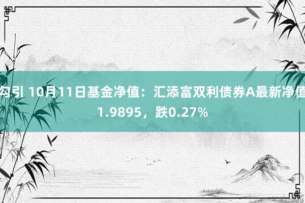 勾引 10月11日基金净值：汇添富双利债券A最新净值1.9895，跌0.27%