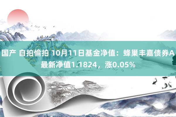 国产 自拍偷拍 10月11日基金净值：蜂巢丰嘉债券A最新净值1.1824，涨0.05%