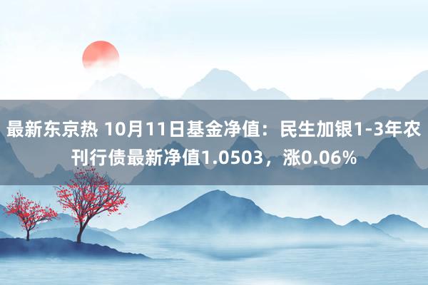 最新东京热 10月11日基金净值：民生加银1-3年农刊行债最新净值1.0503，涨0.06%