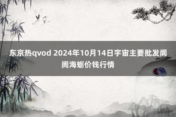 东京热qvod 2024年10月14日宇宙主要批发阛阓海蛎价钱行情