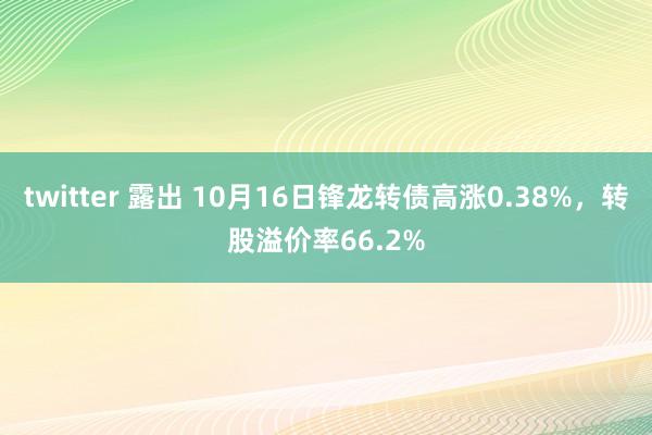 twitter 露出 10月16日锋龙转债高涨0.38%，转股溢价率66.2%