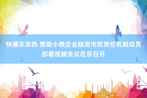 快播东京热 赞助小微企业融资市欢责任机制动员部署视频会议在京召开