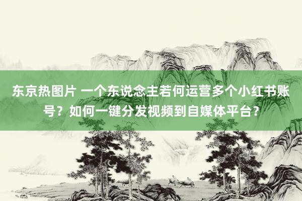 东京热图片 一个东说念主若何运营多个小红书账号？如何一键分发视频到自媒体平台？