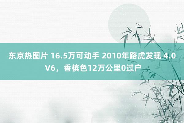 东京热图片 16.5万可动手 2010年路虎发现 4.0 V6，香槟色12万公里0过户