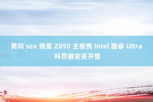 男同 sex 微星 Z890 主板携 Intel 酷睿 Ultra 科罚器安妥开售