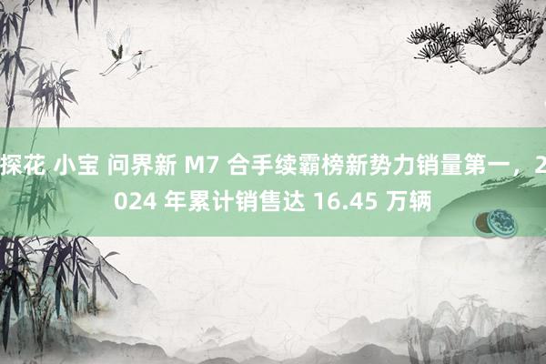 探花 小宝 问界新 M7 合手续霸榜新势力销量第一，2024 年累计销售达 16.45 万辆