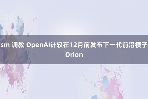 sm 调教 OpenAI计较在12月前发布下一代前沿模子Orion