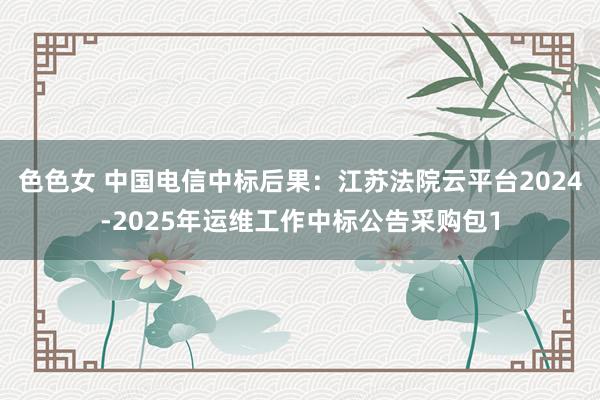 色色女 中国电信中标后果：江苏法院云平台2024-2025年运维工作中标公告采购包1