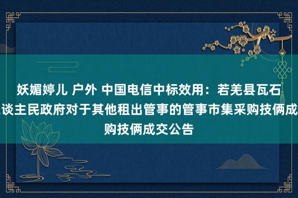 妖媚婷儿 户外 中国电信中标效用：若羌县瓦石峡镇东谈主民政府对于其他租出管事的管事市集采购技俩成交公告