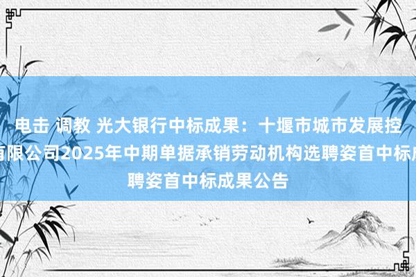 电击 调教 光大银行中标成果：十堰市城市发展控股集团有限公司2025年中期单据承销劳动机构选聘姿首中标成果公告