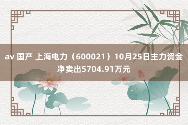 av 国产 上海电力（600021）10月25日主力资金净卖出5704.91万元