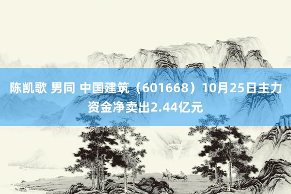 陈凯歌 男同 中国建筑（601668）10月25日主力资金净卖出2.44亿元