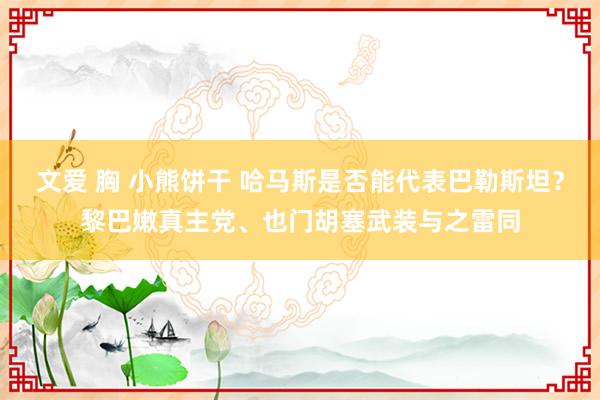 文爱 胸 小熊饼干 哈马斯是否能代表巴勒斯坦？黎巴嫩真主党、也门胡塞武装与之雷同