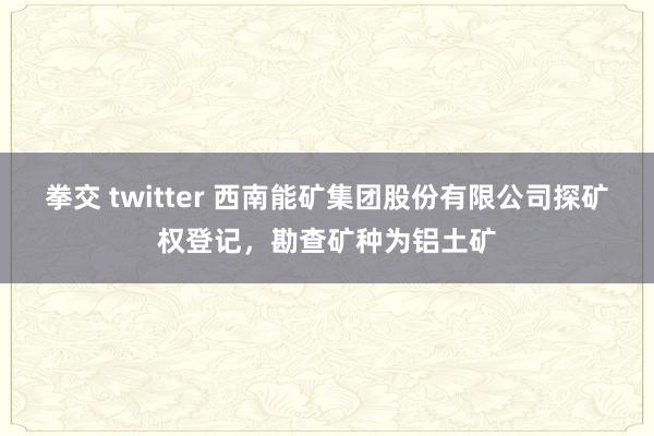 拳交 twitter 西南能矿集团股份有限公司探矿权登记，勘查矿种为铝土矿