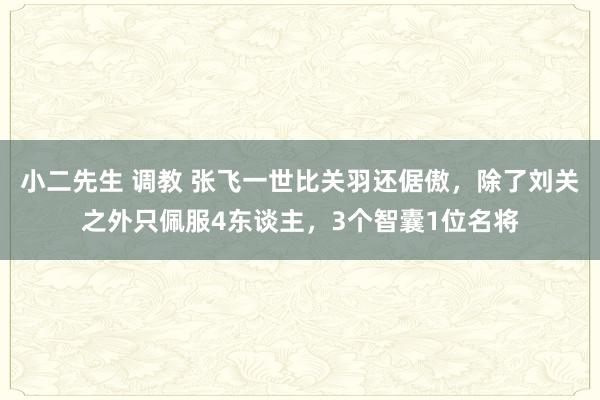 小二先生 调教 张飞一世比关羽还倨傲，除了刘关之外只佩服4东谈主，3个智囊1位名将