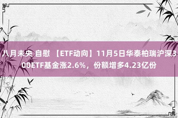 八月未央 自慰 【ETF动向】11月5日华泰柏瑞沪深300ETF基金涨2.6%，份额增多4.23亿份