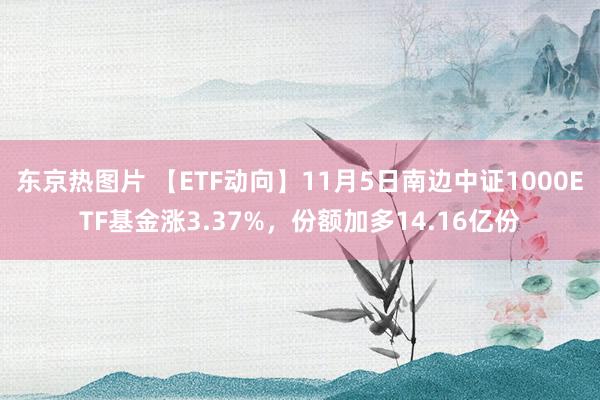 东京热图片 【ETF动向】11月5日南边中证1000ETF基金涨3.37%，份额加多14.16亿份