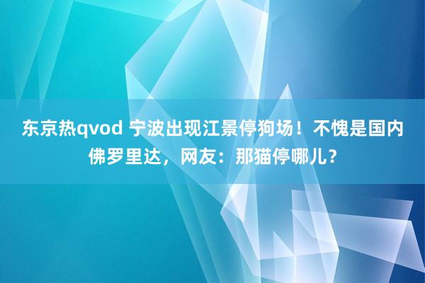 东京热qvod 宁波出现江景停狗场！不愧是国内佛罗里达，网友：那猫停哪儿？