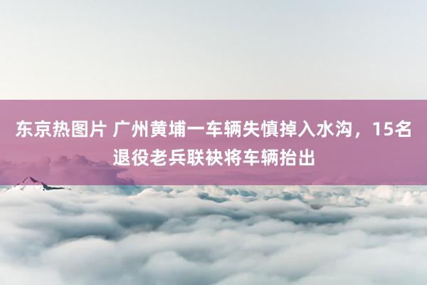 东京热图片 广州黄埔一车辆失慎掉入水沟，15名退役老兵联袂将车辆抬出