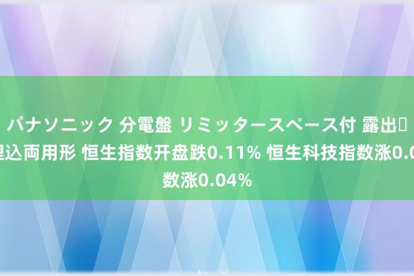 パナソニック 分電盤 リミッタースペース付 露出・半埋込両用形 恒生指数开盘跌0.11% 恒生科技指数涨0.04%