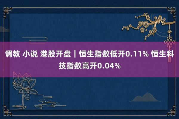 调教 小说 港股开盘｜恒生指数低开0.11% 恒生科技指数高开0.04%