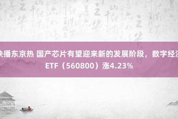 快播东京热 国产芯片有望迎来新的发展阶段，数字经济ETF（560800）涨4.23%